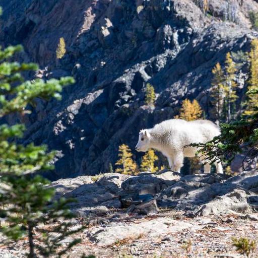 Tips Membangun Kebiasaan Positif untuk Kehidupan Lebih Baik